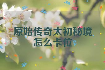 原始传奇太初秘境怎么卡位