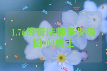 1.76传奇法师多少级招900勇士