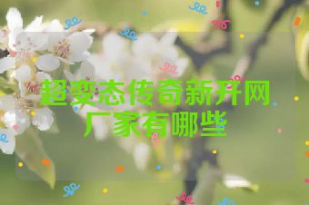 超变态传奇新开网厂家有哪些
