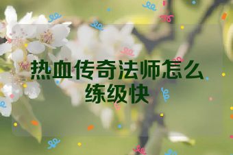 热血传奇法师怎么练级快