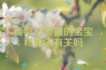 传奇法师招的宝宝和魔法有关吗