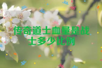 传奇道士血量是战士多少比例