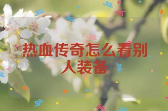 热血传奇怎么看别人装备