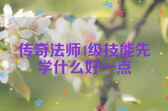 传奇法师4级技能先学什么好一点