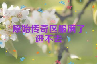 原始传奇区服满了进不去