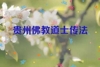 贵州佛教道士传法