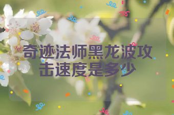 奇迹法师黑龙波攻击速度是多少