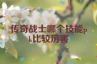 传奇战士哪个技能pk比较厉害
