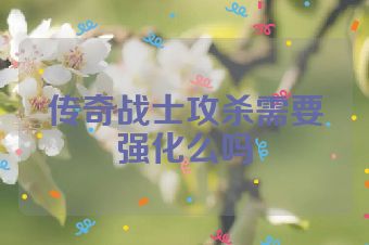 传奇战士攻杀需要强化么吗