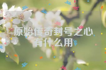 原始传奇封号之心有什么用