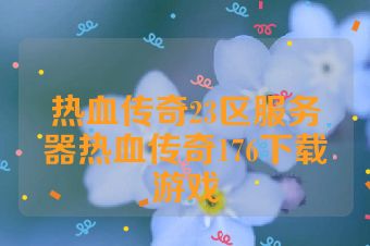 热血传奇23区服务器热血传奇176下载游戏