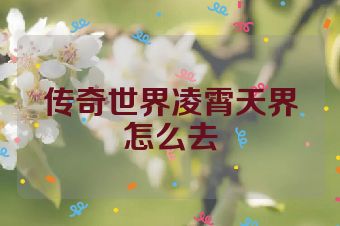 传奇世界凌霄天界怎么去
