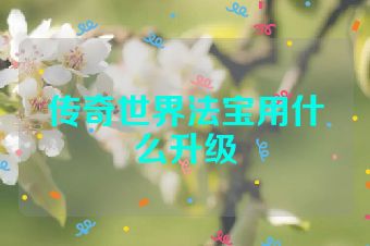 传奇世界法宝用什么升级