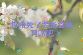 传奇死了装备会掉吗贴吧