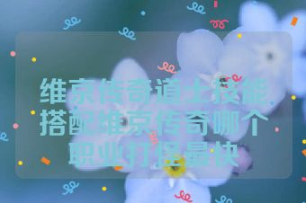 维京传奇道士技能搭配维京传奇哪个职业打怪最快