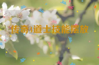 传奇4道士技能摆放