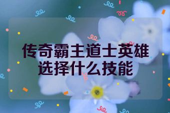 传奇霸主道士英雄选择什么技能