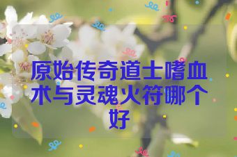 原始传奇道士嗜血术与灵魂火符哪个好