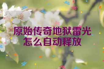 原始传奇地狱雷光怎么自动释放