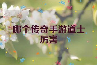哪个传奇手游道士厉害