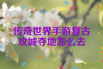 传奇世界手游复古攻城夺地怎么去