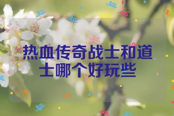 热血传奇战士和道士哪个好玩些