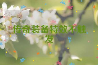 传奇装备特效不触发