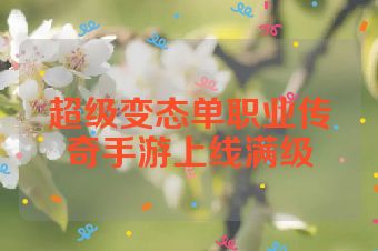 超级变态单职业传奇手游上线满级