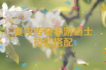 复古传奇手游道士技能搭配