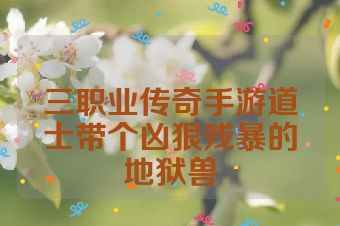 三职业传奇手游道士带个凶狠残暴的地狱兽