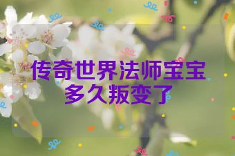传奇世界法师宝宝多久叛变了
