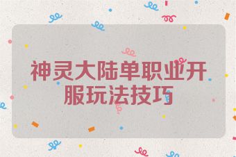 神灵大陆单职业开服玩法技巧