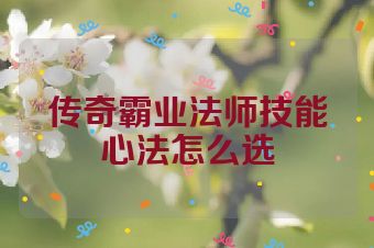传奇霸业法师技能心法怎么选