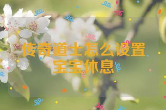 传奇道士怎么设置宝宝休息