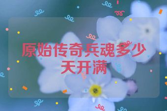 原始传奇兵魂多少天开满