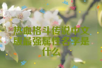 热血格斗传说中文版最强属性名字是什么