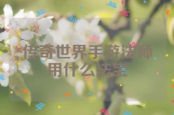 传奇世界手游法师用什么法宝