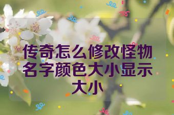 传奇怎么修改怪物名字颜色大小显示大小