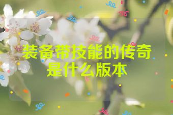 装备带技能的传奇是什么版本