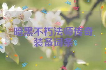暗黑不朽法师传奇装备词条