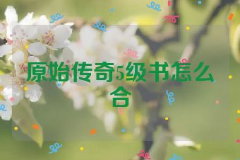 原始传奇5级书怎么合