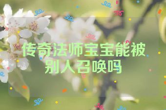 传奇法师宝宝能被别人召唤吗