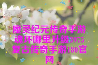魔灵纪元传奇手游魂环哪里升级3975复古传奇手游180官网
