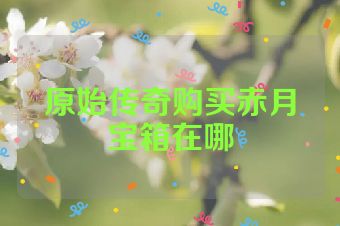 原始传奇购买赤月宝箱在哪