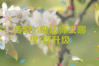 传奇35级法师去哪里a怪升级