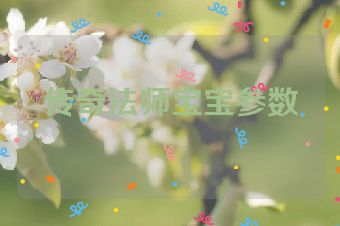 传奇法师宝宝参数