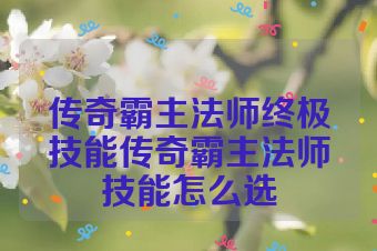 传奇霸主法师终极技能传奇霸主法师技能怎么选