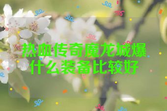 热血传奇魔龙城爆什么装备比较好
