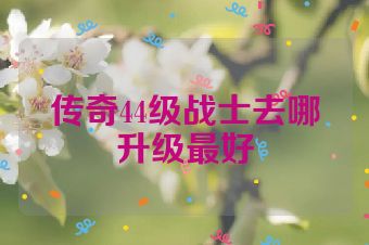 传奇44级战士去哪升级最好