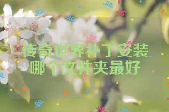 传奇世界补丁安装哪个文件夹最好